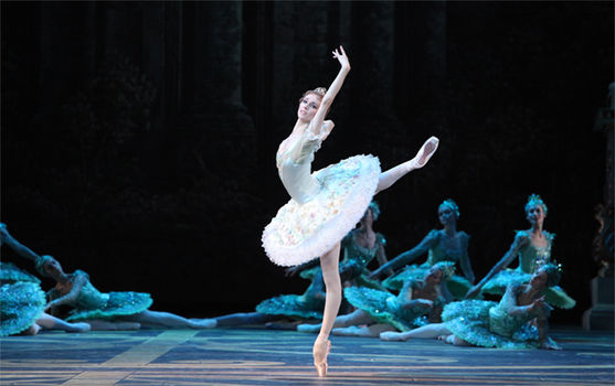 preview_Sleeping-beauty-Zakharova-Damir